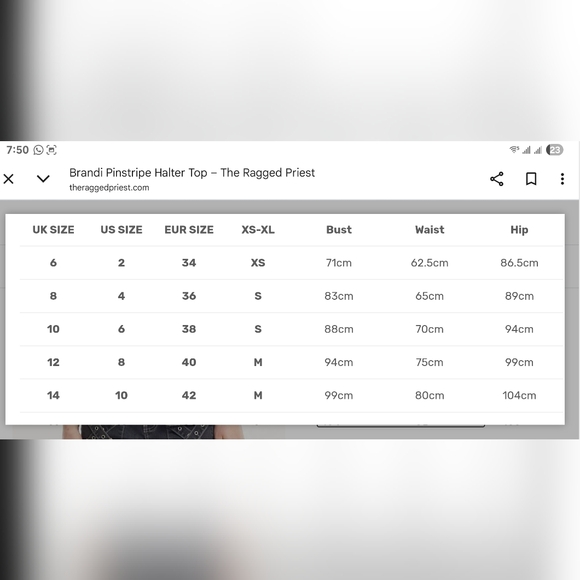 The Ragged Priest Burgundy Striped Crop Top - Picture 4 of 4